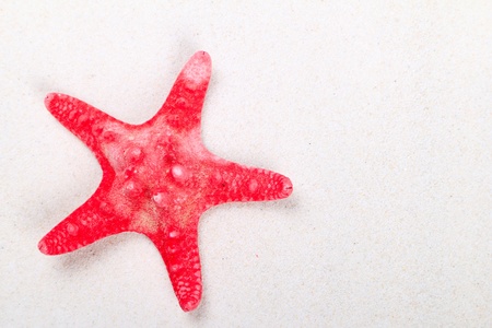 Sea starの写真素材