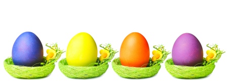 Easter eggs in nest