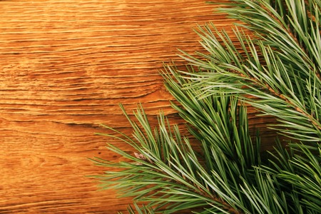 Old wooden background with pine branch, image of flooring board