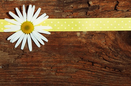 Greeting post cardの写真素材