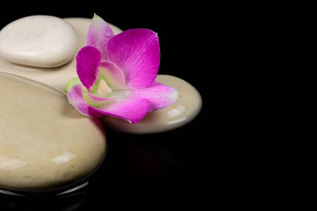 Spa stones in the water with orchid on black backgroundの写真素材