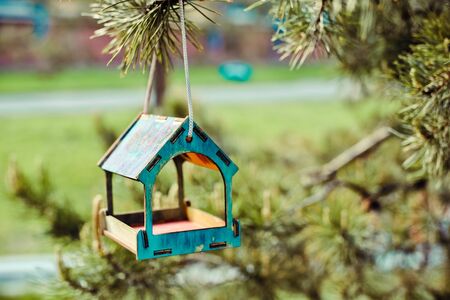 Feeder for birds on the fir branch without birds, made from colorful wooden pieces. Landscape on a quiet summer day. Caring for birds and nature.の写真素材