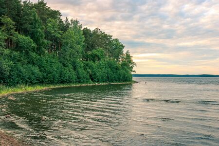 Forest lake shore landscape in sunny day. Summer forest lake shore panorama. Forest lake shore view.の写真素材