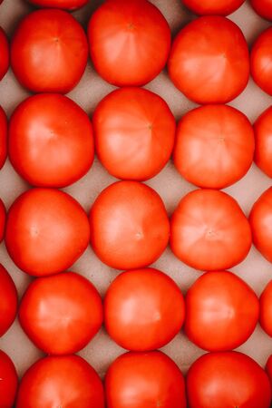 Fresh tomatoes are arranged and fill in roll and column between grid system in open package on stall in supermarket. Systematic tomatoes arrangement top view.の写真素材