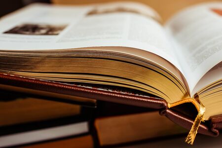Vintage open book with golden pages close up view. Beautiful collection book. Concept for book lovers.の写真素材