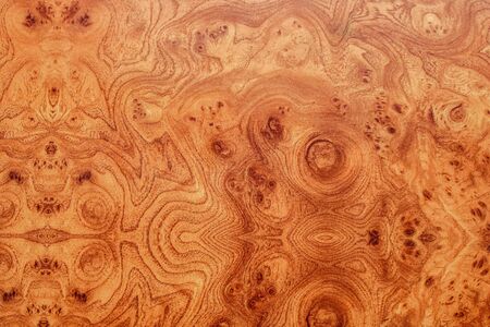 Wood texture. Lining boards wall. Wooden background pattern. Showing growth ringsの写真素材