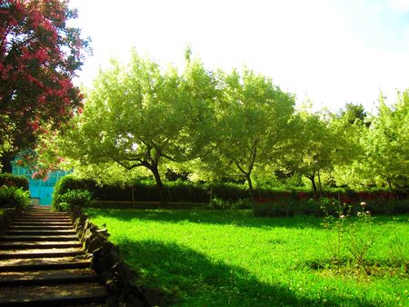 Stone Stairs in a Garden Arenzano Italyの写真素材
