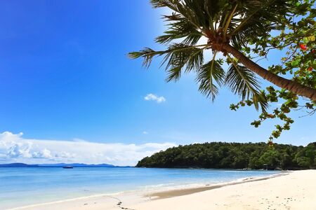 Tropical beach with coconut palm with blue ocean and blue skyの写真素材