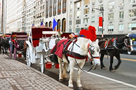 Horse and carriage at Central Park, New York City, USA のeditorial素材
