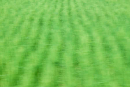 Green wave abstract backgroundの写真素材
