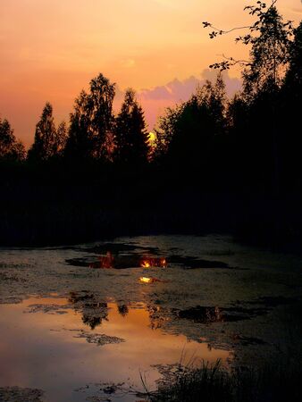 Lake. Sunset. の写真素材