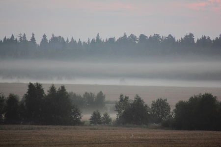 Fog. Morning. の写真素材