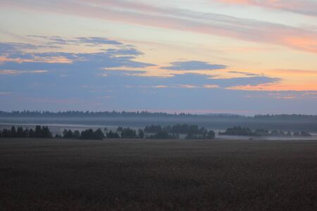 Sunrise. A dawn over summer wood. の写真素材