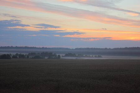 Sunrise. A dawn over summer wood. の写真素材