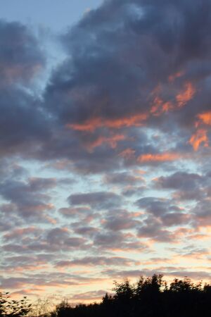 Clouds. Sunset. の写真素材
