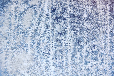 Frosty patterns  の写真素材