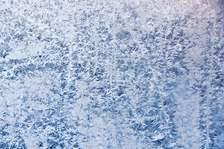 Frosty patterns  の写真素材