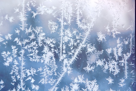 Frosty patterns  の写真素材