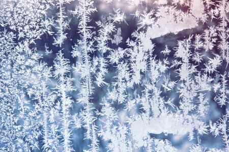 Frosty patterns  の写真素材