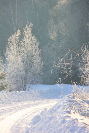 Winter road  の写真素材