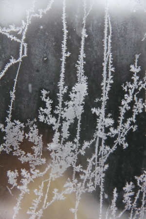 Window frost  Rural  の写真素材