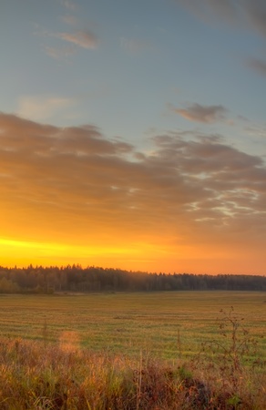 Dawn Meadow Dawn Meadow