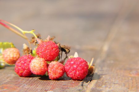 Raspberries  Berry  の写真素材
