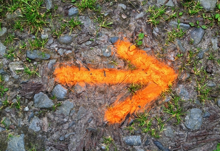Reflective orange arrow on the ground in nature