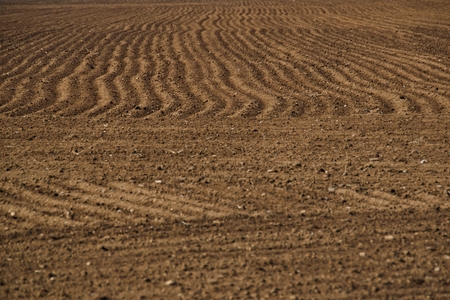 Agricultural Background, Newly Plowed Field