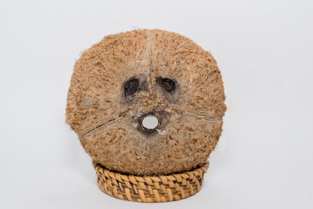 Isolated fresh coconuts with funny faces on white backgroundの写真素材