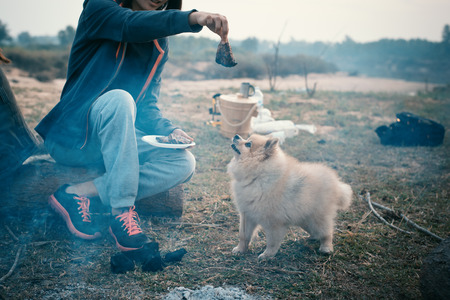 Feeding the dog in the camping.People Friendship Traveling Camping Conceptの写真素材
