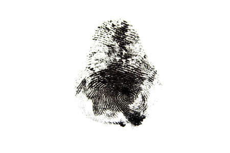 fingerprint isolated on white backgroundの写真素材