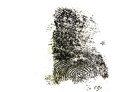 fingerprint isolated on white backgroundの写真素材