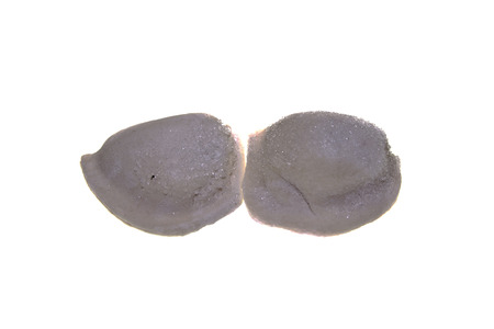 dumplings isolated on white background