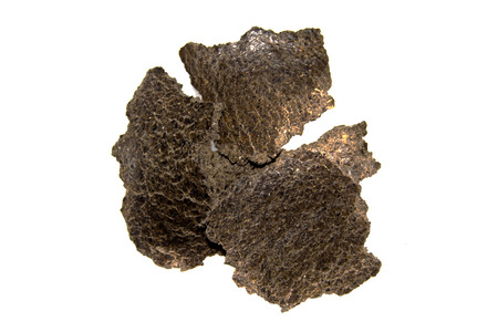 pressed seeds isolated on white backgroundの写真素材