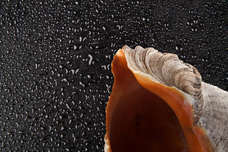 water droplets isolated on black background