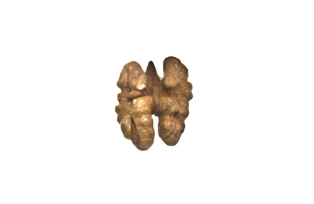 walnut isolated on white background