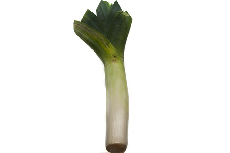 green onion isolated on white backgroundの写真素材
