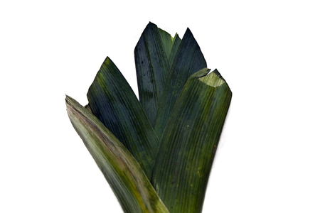green onion isolated on white backgroundの写真素材