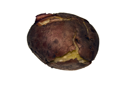 potato isolated on white backgroundの写真素材