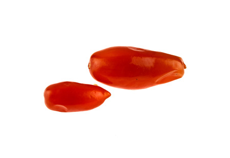 canned tomatoes isolated on white backgroundの写真素材