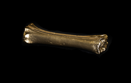 golden bone isolated on black backgroundの写真素材