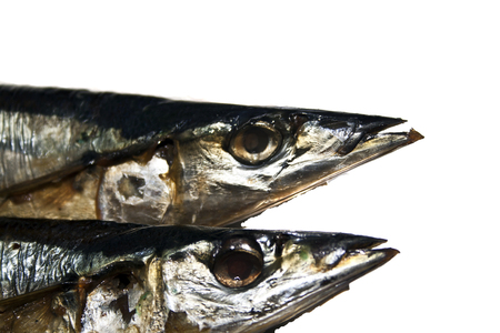 smoked fish isolated on white backgroundの写真素材