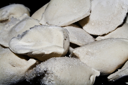 dumplings isolated on white backgroundの写真素材