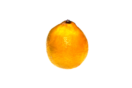 lemon isolated on white backgroundの写真素材
