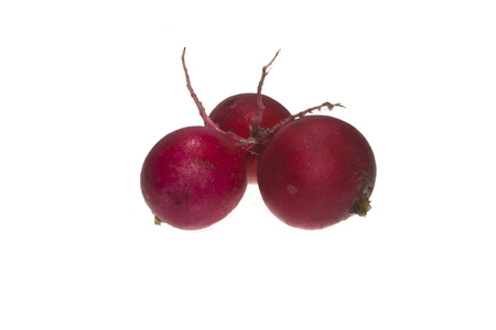 radish isolated on white backgroundの写真素材