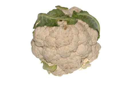 cabbage isolated on white backgroundの写真素材