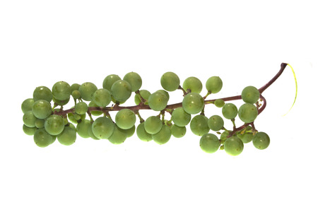 grapes isolated on white backgroundの写真素材
