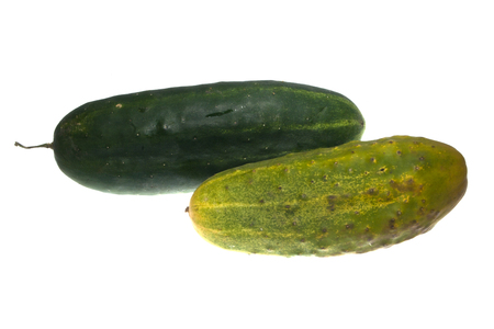 cucumber isolated on white backgroundの写真素材