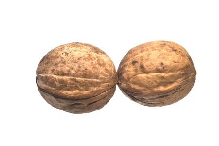 walnut isolated on white background